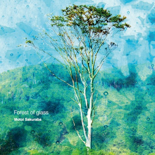 Forest of glass