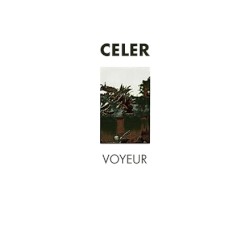 Voyeur