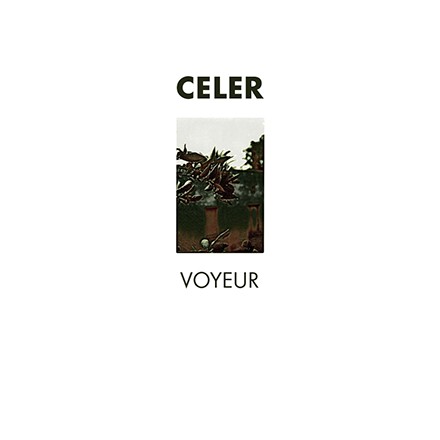 Voyeur