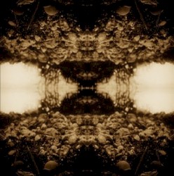 Black Triage