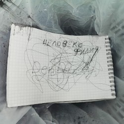 Человекофилия