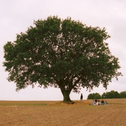 VILD UNGDOM