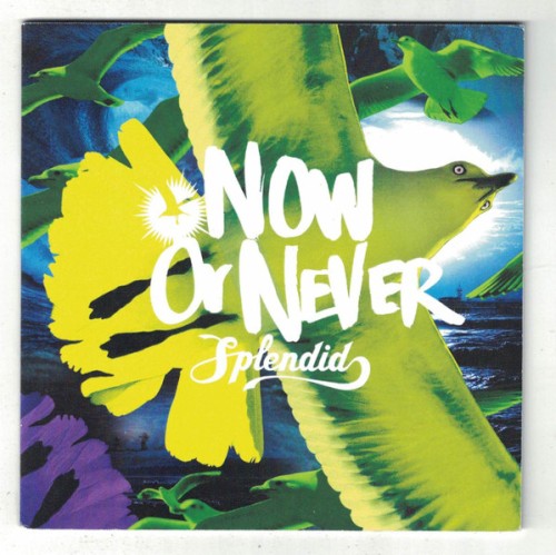 Now or Never