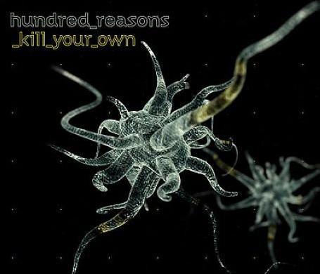 Kill Your Own