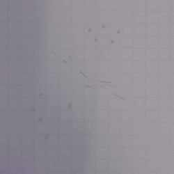SP:NL000