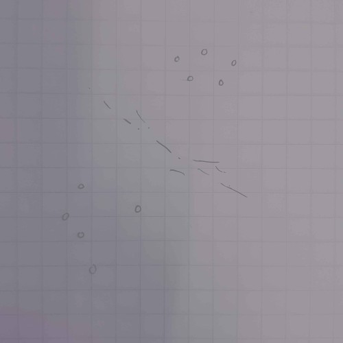 SP:NL000