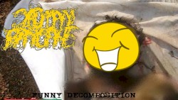 Funny Decomposition