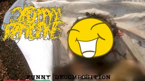 Funny Decomposition