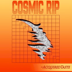 Cosmic Rip