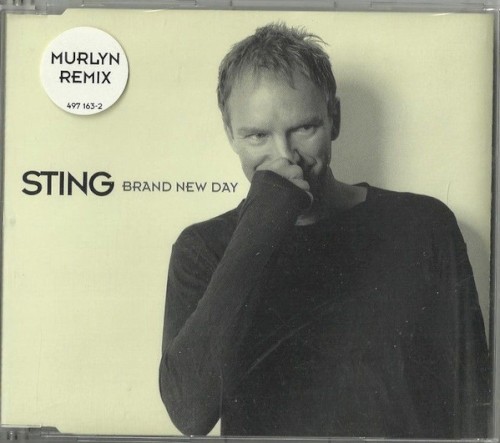 Brand New Day (Murlyn Remix)