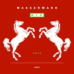 W.I.R. (Remixes)
