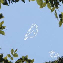 Canary Bird