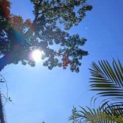 beautiful morning