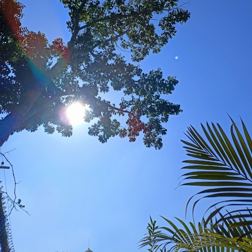 beautiful morning