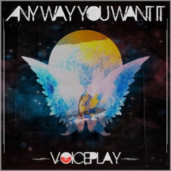Any Way You Want It
