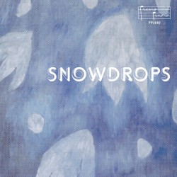 Snowdrops