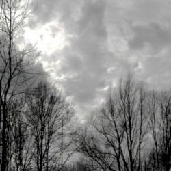 WINTER-TV