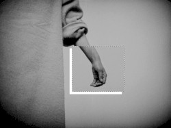 Momentary Archive