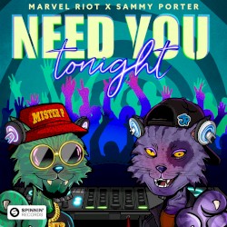Need You Tonight (extended mix)