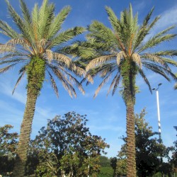 Hotel in Orlando in the Morning