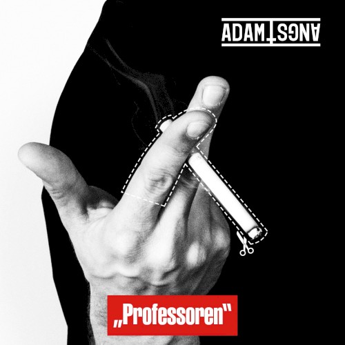 Professoren