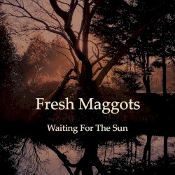 Waiting for the Sun