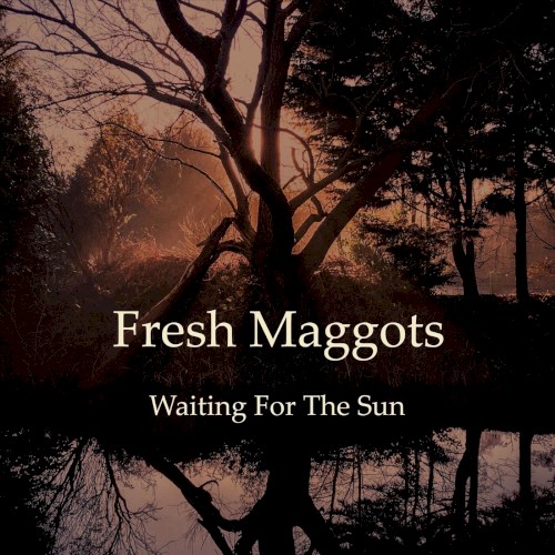 Waiting for the Sun