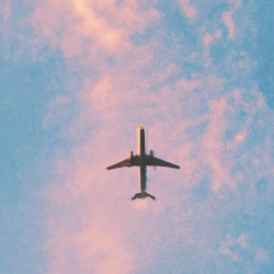 joint flight.