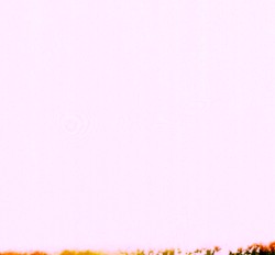 Srmp_1