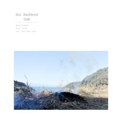 Izu Ambient 016