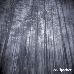 Forest of Disillusionment