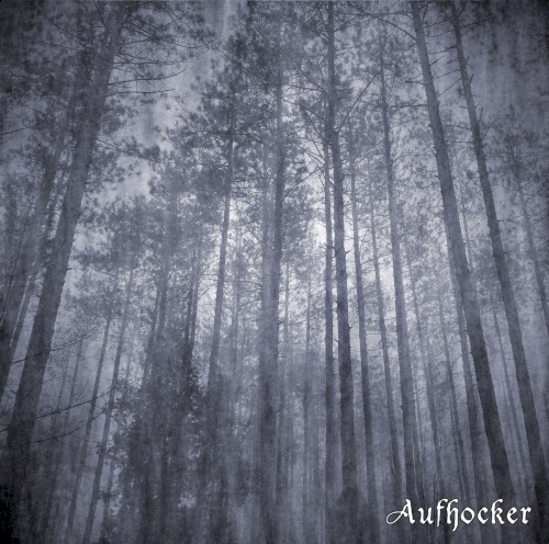 Forest of Disillusionment