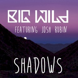 Shadows