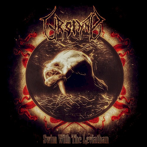 Swim with the Leviathan