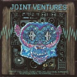 Joint Ventures
