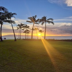 Maui