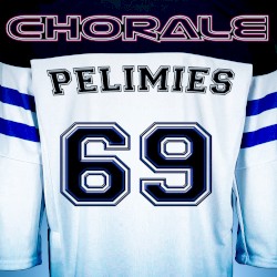 Pelimies