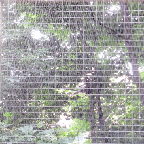 meshing