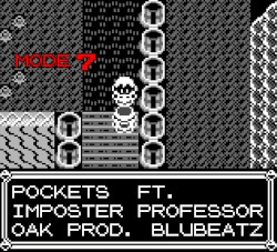 Pockets