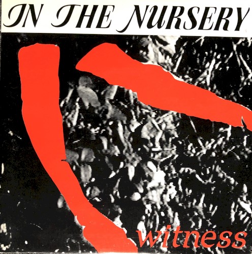 Witness (to a scream)