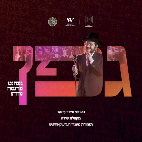 Gefen - גפן