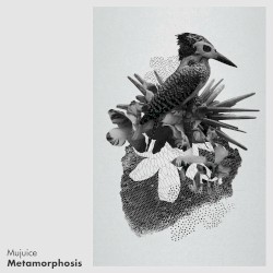 Metamorphosis