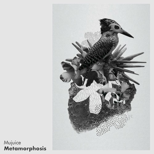 Metamorphosis