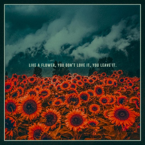 Like A Flower, You Don't Love It, You Leave It.