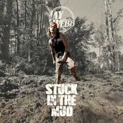 Stuck in the Mud