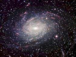 Space Delivery