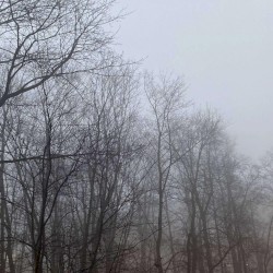 безмолвие