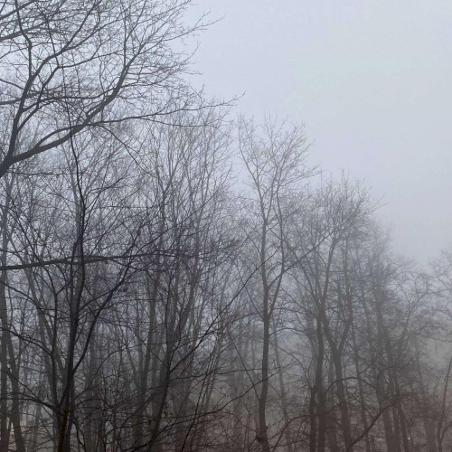 безмолвие