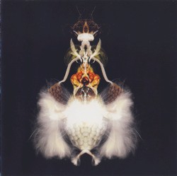 Fyuti