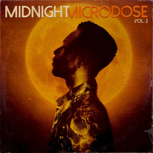 Midnight Microdose, Vol. 2